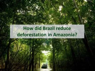 How did Brazil reduce deforestation in Amazonia ?