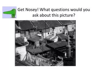 Get Nosey! What questions would you ask about this picture?