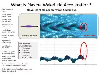 What is Plasma Wakefield Acceleration?