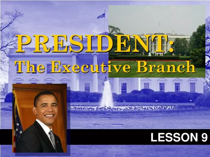 president the executive branch
