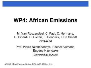 WP4: African Emissions
