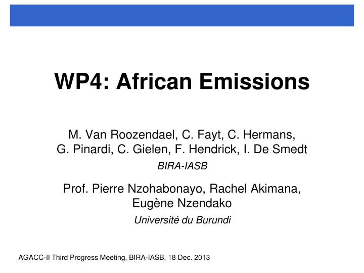 wp4 african emissions