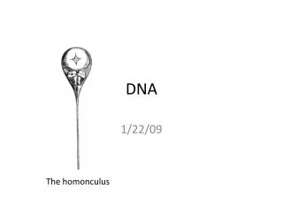 DNA