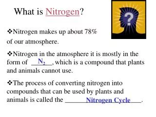 What is Nitrogen ?