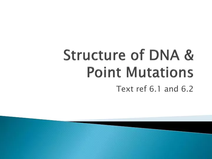 structure of dna point mutations