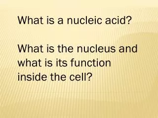 What is a nucleic acid? What is the nucleus and what is its function inside the cell?