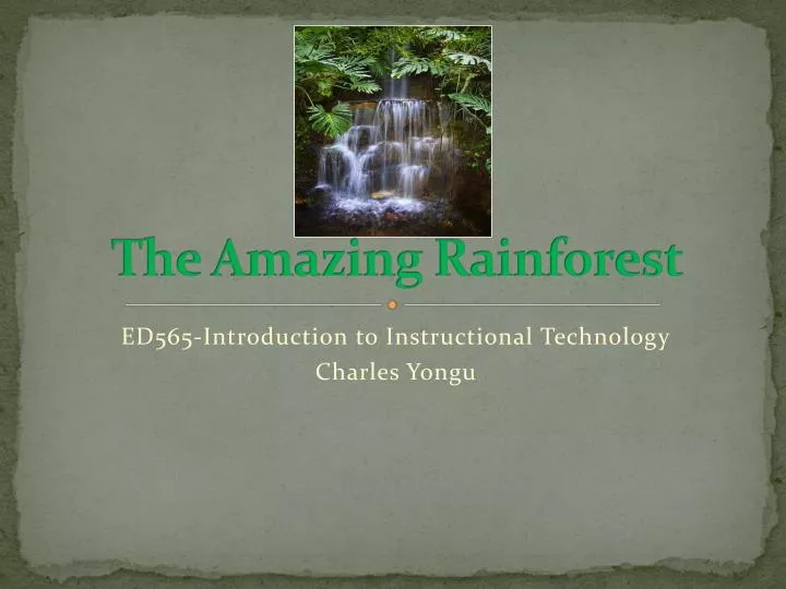 the amazing rainforest