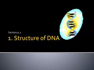 1. Structure of DNA