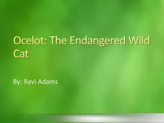 Ocelot: The Endangered Wild Cat