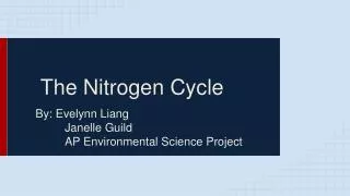 The Nitrogen Cycle