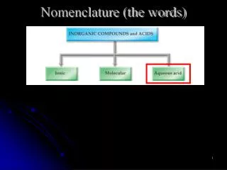 Nomenclature (the words)