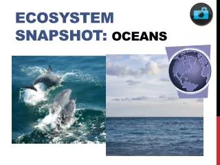 ecosystem snapshot oceans