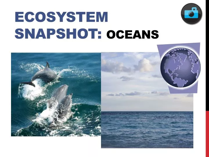 ecosystem snapshot oceans