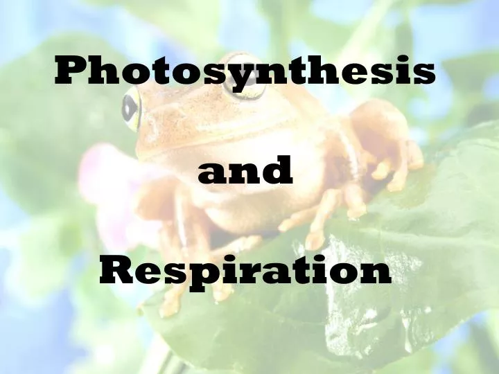 photosynthesis and respiration