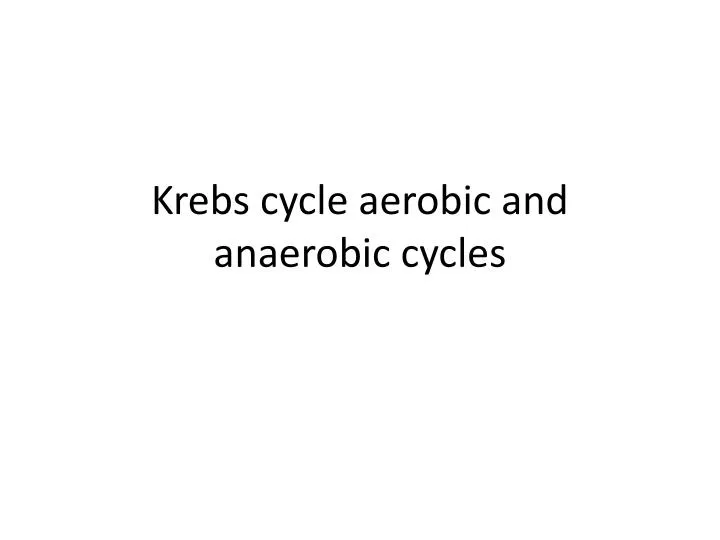 krebs cycle aerobic and anaerobic cycles