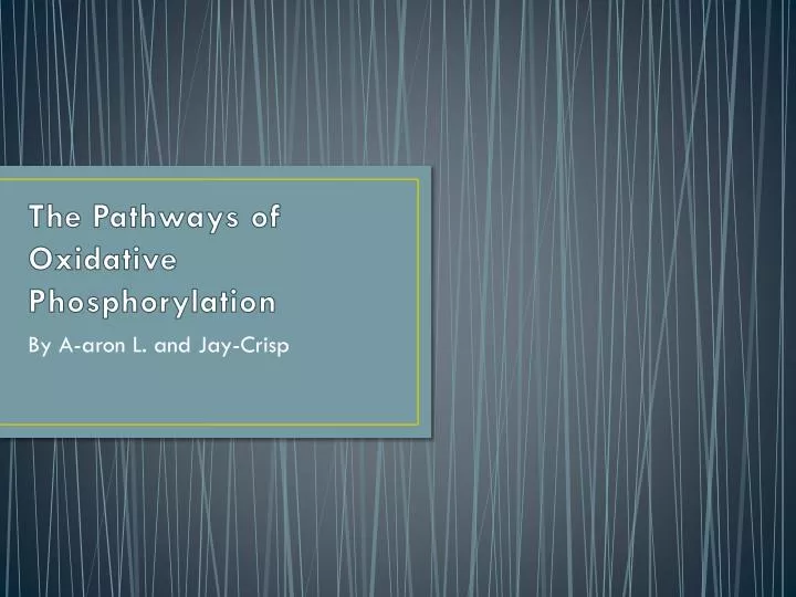 the pathways of oxidative phosphorylation