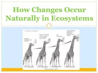 How Changes Occur Naturally in Ecosystems