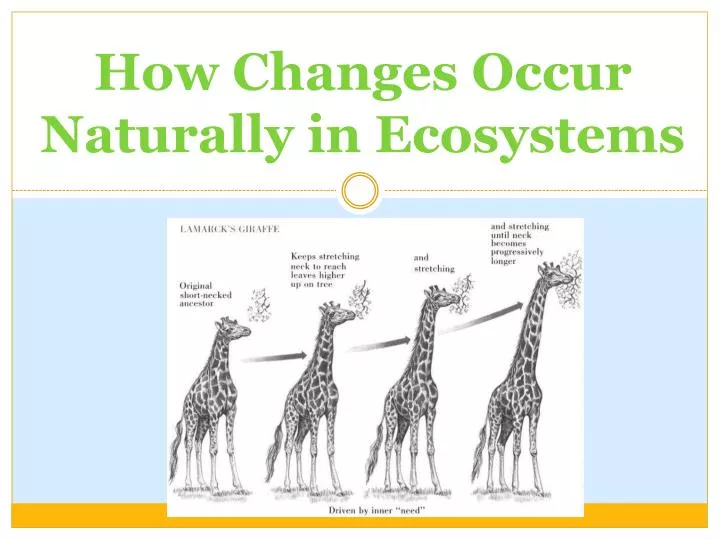 how changes occur naturally in ecosystems