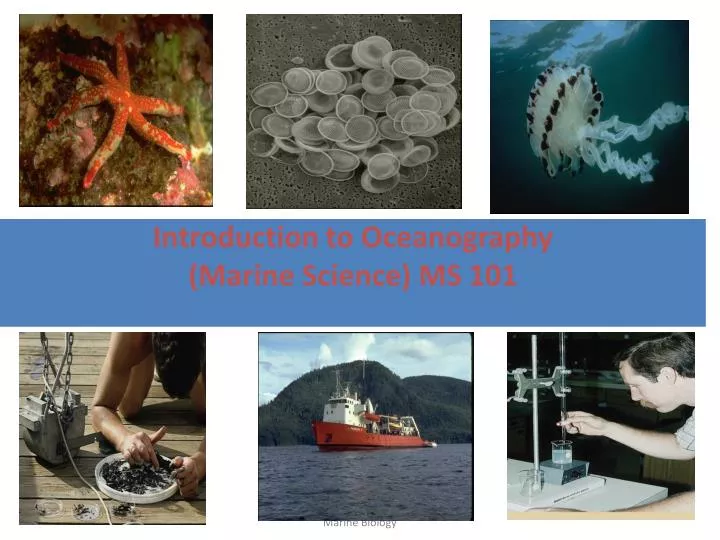 introduction to oceanography marine science ms 101