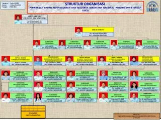 STRUKTUR ORGANISASI