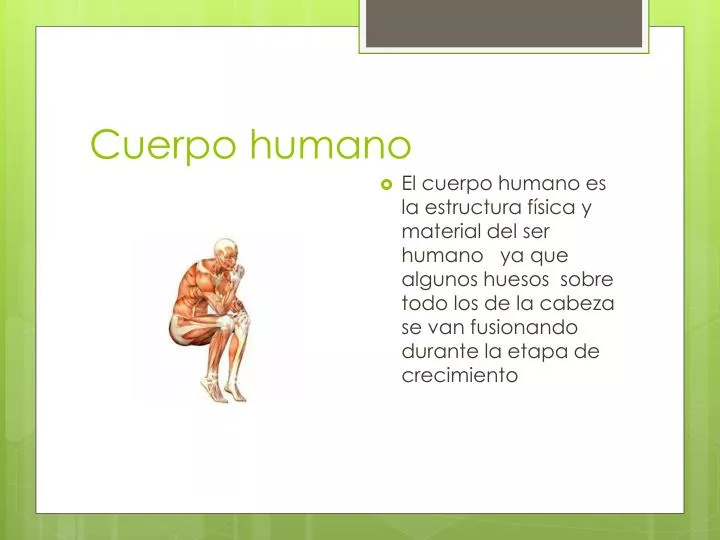 cuerpo humano