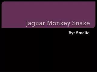 Jaguar Monkey Snake