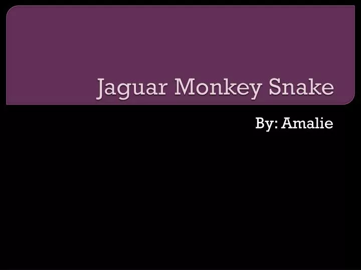 jaguar monkey snake