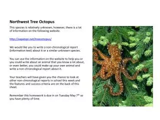 Northwest Tree Octopus
