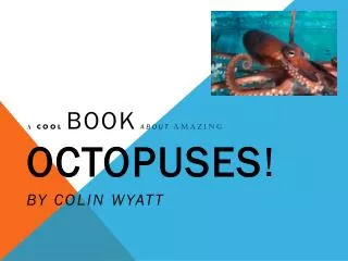 A cool book about amazing octopuses ! by colin wyatt