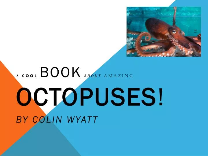 a cool book about amazing octopuses by colin wyatt