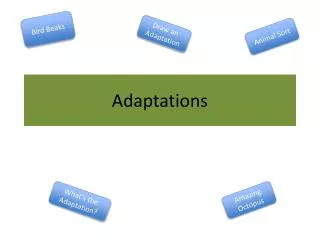 Adaptations