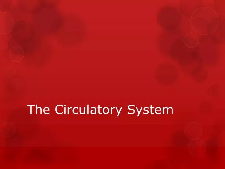 the circulatory system