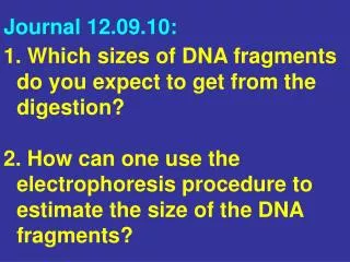 Which sizes of DNA fragments do you expect to get from the digestion?