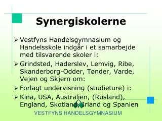 synergiskolerne