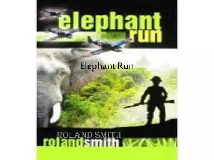 elephant run