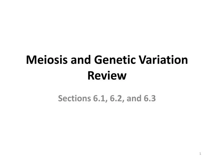 meiosis and genetic variation review