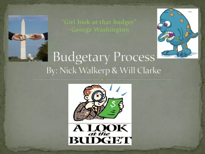budgetary process by nick walkerp will clarke