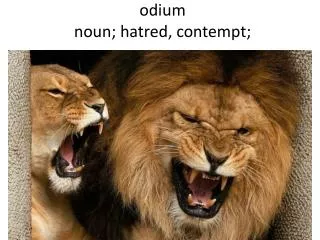 odium noun hatred contempt