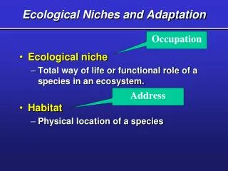 Ecological Niches and Adaptation