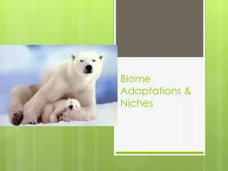 Biome Adaptations &amp; Niches