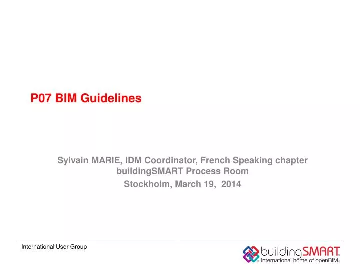 p07 bim guidelines