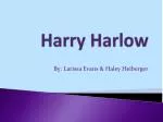 Harry Harlow - slide 1