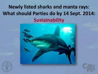 Newly listed sharks and manta rays: What should Parties do by 14 Sept. 2014: Sustainability