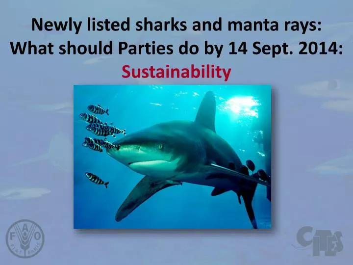 newly listed sharks and manta rays what should parties do by 14 sept 2014 sustainability