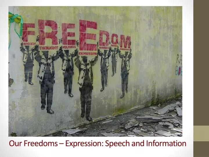 our freedoms expression speech and information