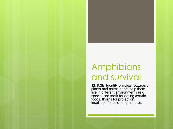 amphibians and survival