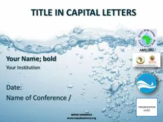 TITLE IN CAPITAL LETTERS