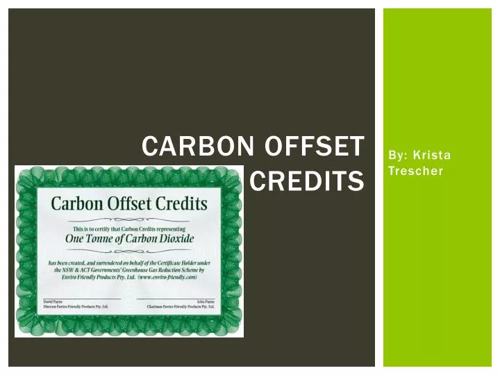 carbon offset credits