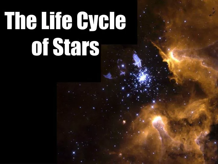 the life cycle of stars