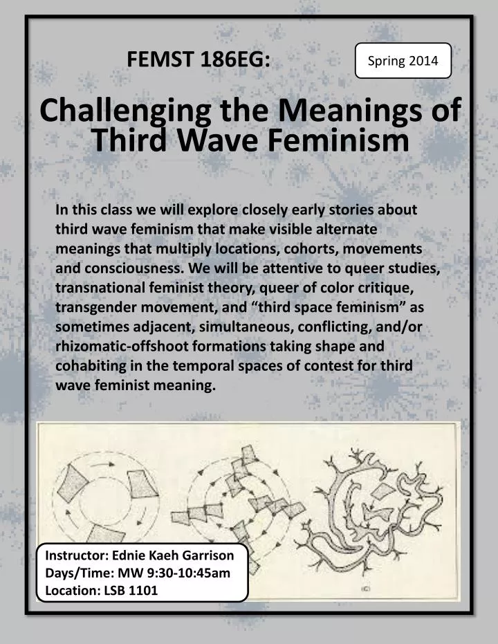 femst 186eg challenging the meanings of third wave feminism